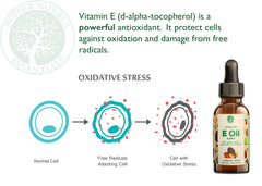 Mother Nature's Essentials kosher and non-GMO label signaling clean sourcing.