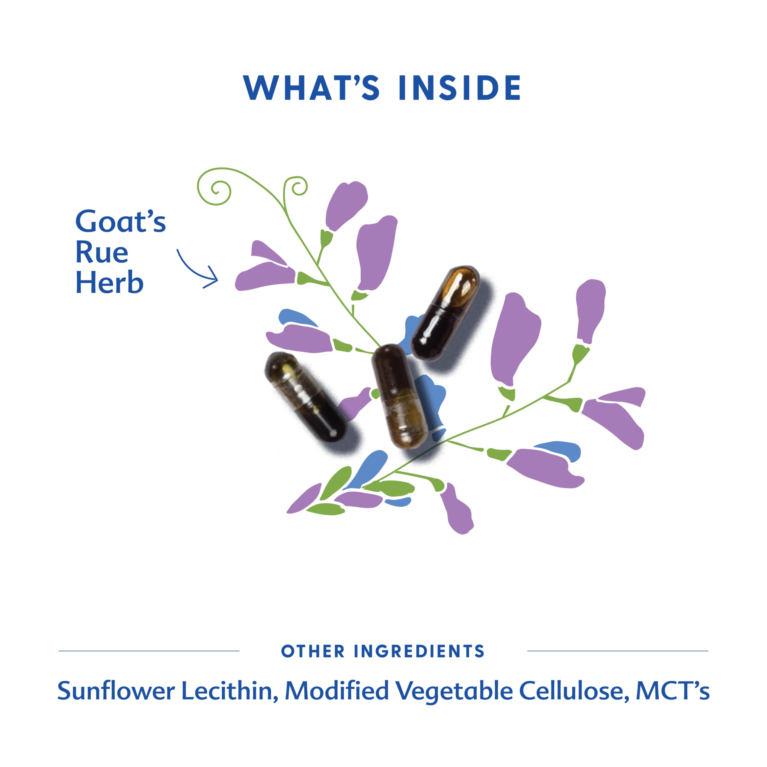 Motherlove Goat's Rue liquid capsules ready for daily use.