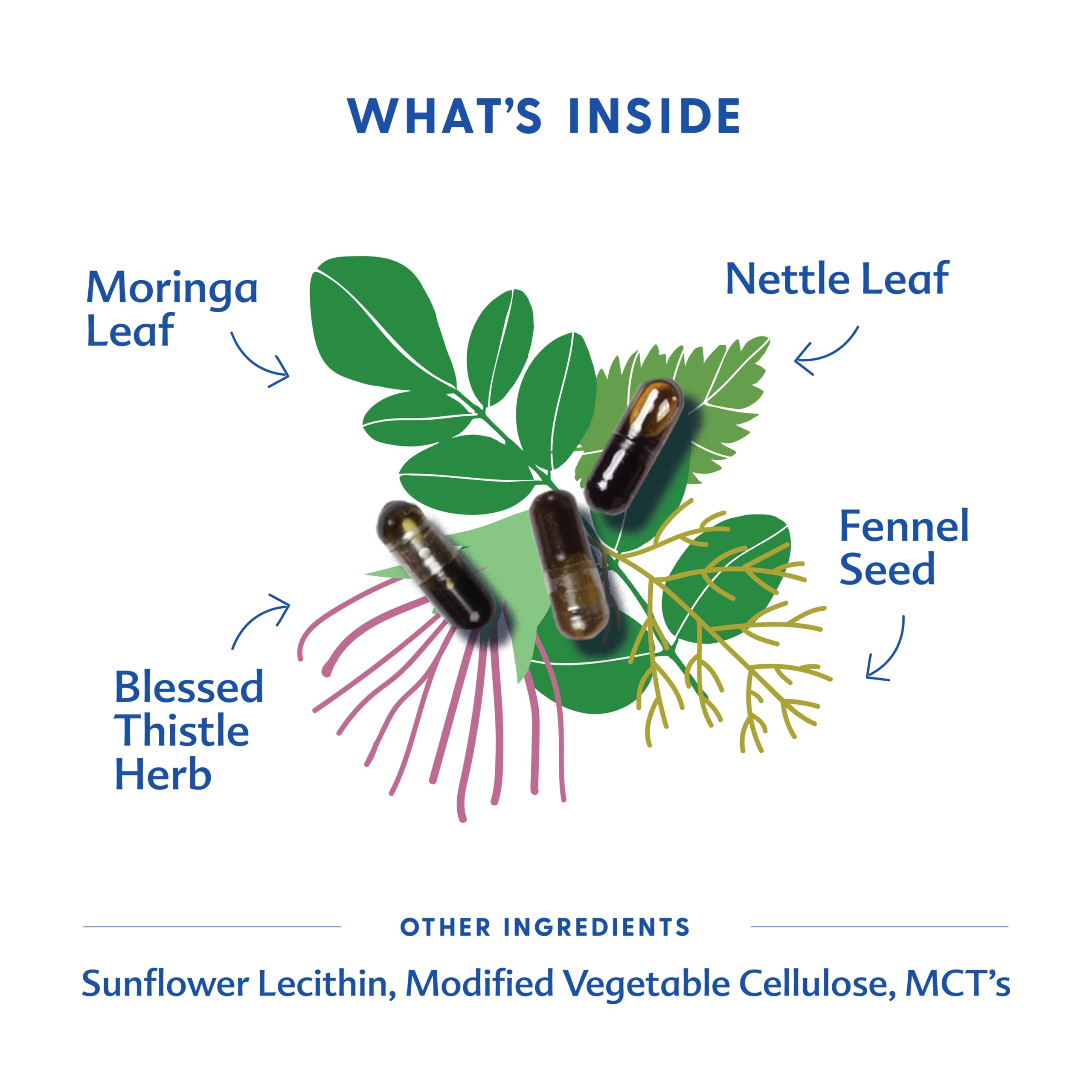 Motherlove More Milk Moringa label highlights organic herbs and vegan status