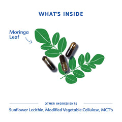Motherlove Moringa capsules in hand suggesting easy daily dosing
