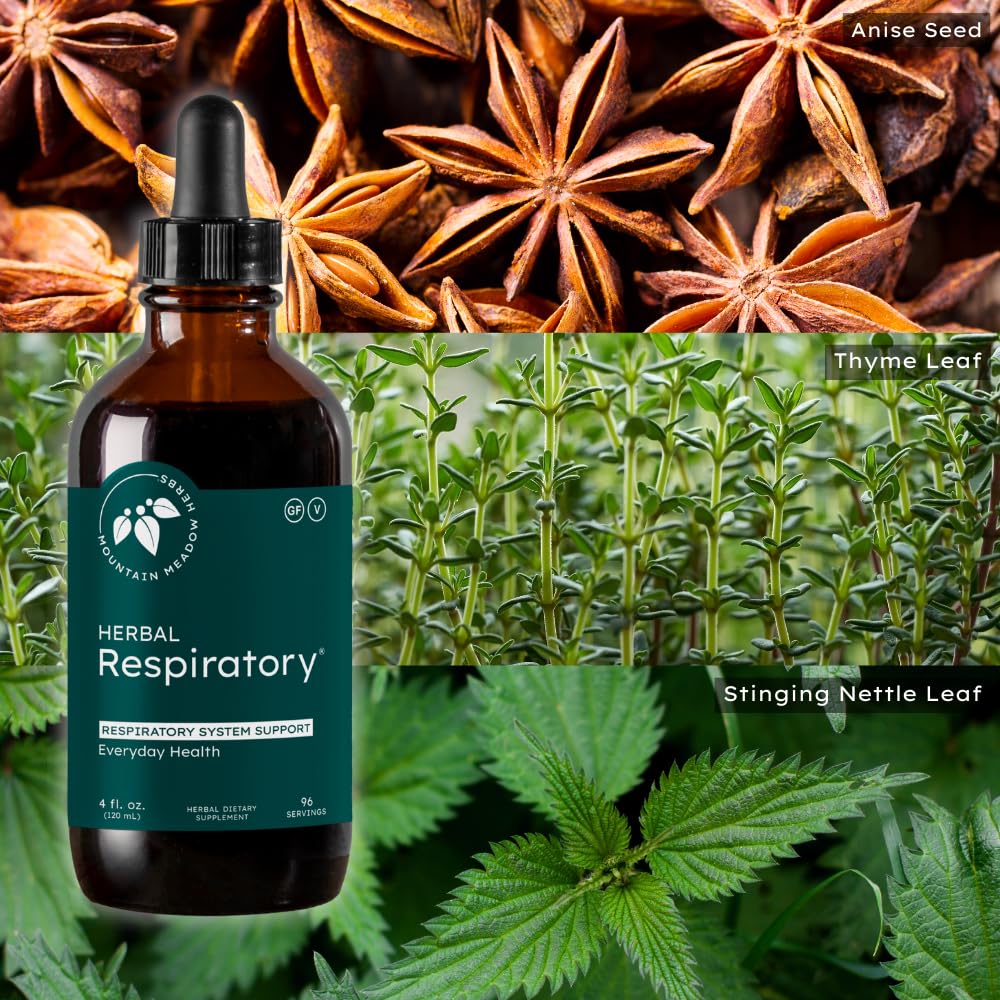 Mountain Meadow Herbs bronchial-wellness-formula graphic communicates family-friendly use and respiratory support.