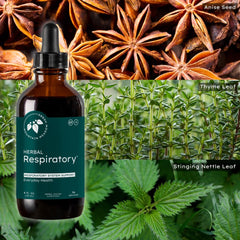 Mountain Meadow Herbs bronchial-wellness-formula graphic communicates family-friendly use and respiratory support.