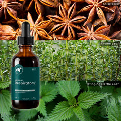 Mountain Meadow Herbs Herbal Respiratory licorice root component close-up