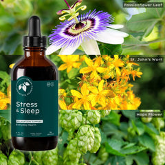 Mountain Meadow Herbs Stress & Sleep packaging view conveys premium small-batch quality.