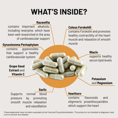 Close-up of Mountain Peak HTN vegetarian capsules