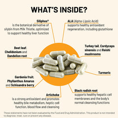 Mountain Peak Liver C capsules inside show vegetarian capsules for easy daily use.