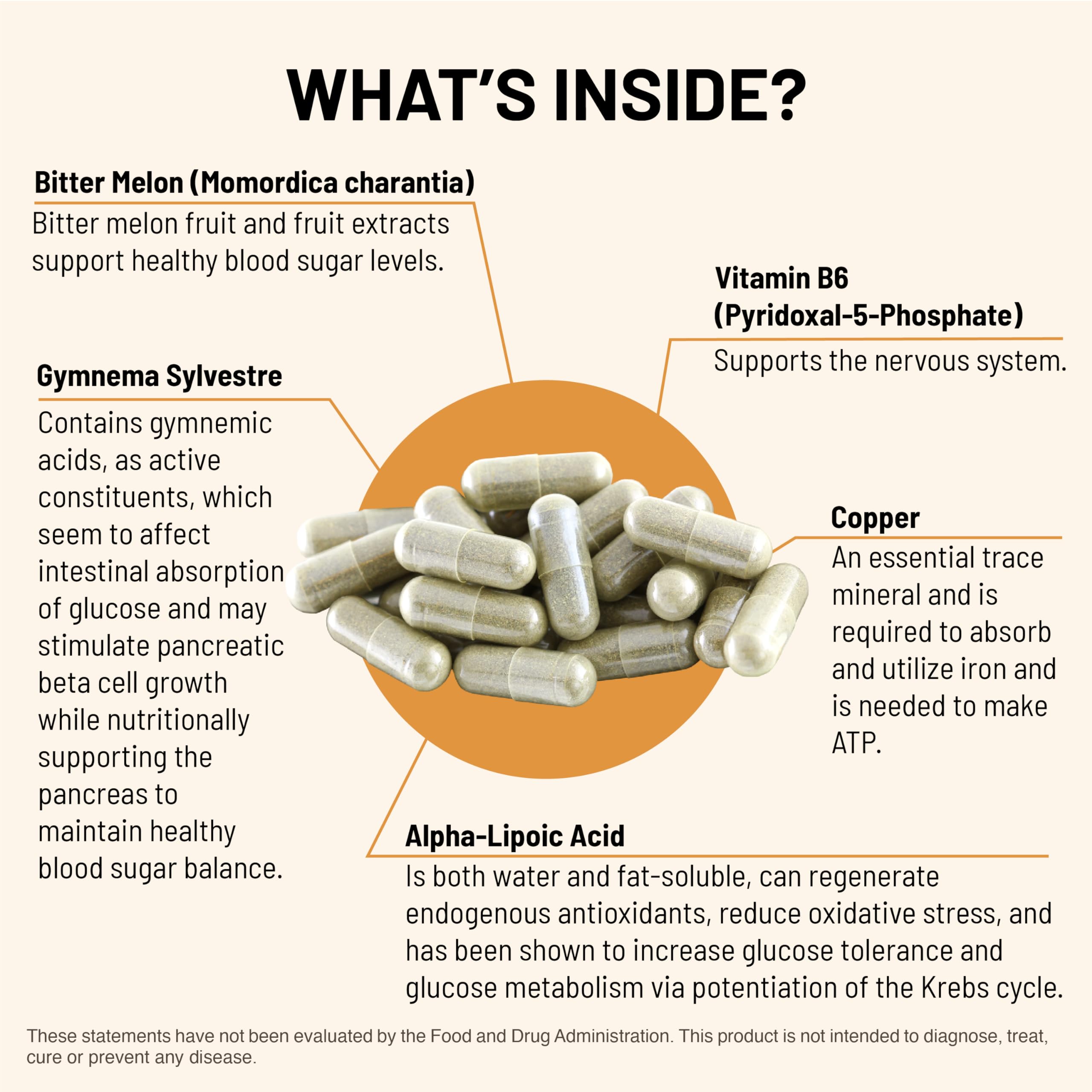 Mountain Peak Nutritionals Glycemic Formula daily-use setup suggests taking capsules with meals.