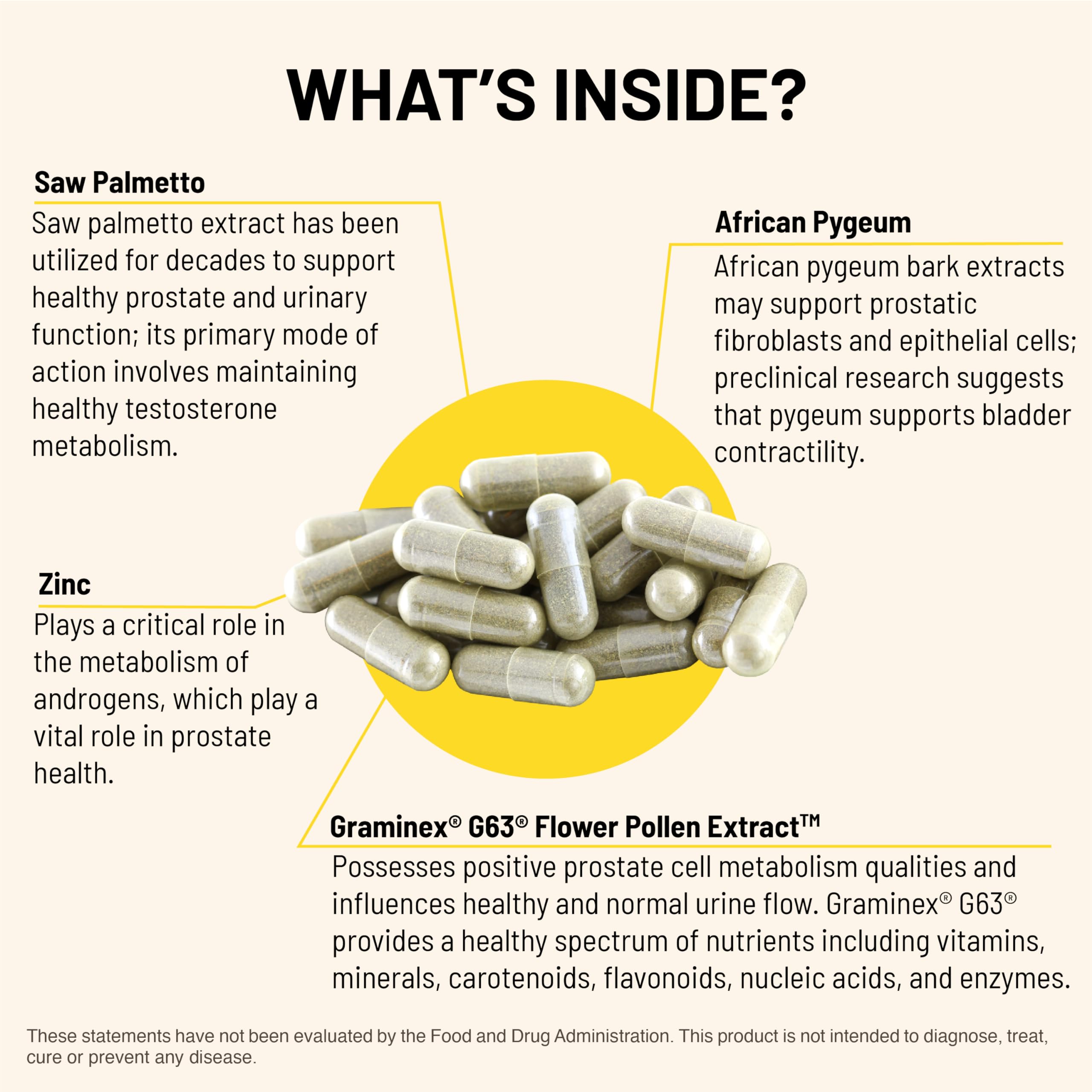 Mountain Peak Nutritionals Prostate pygeum ingredient closeup conveys nutrients for urinary balance.