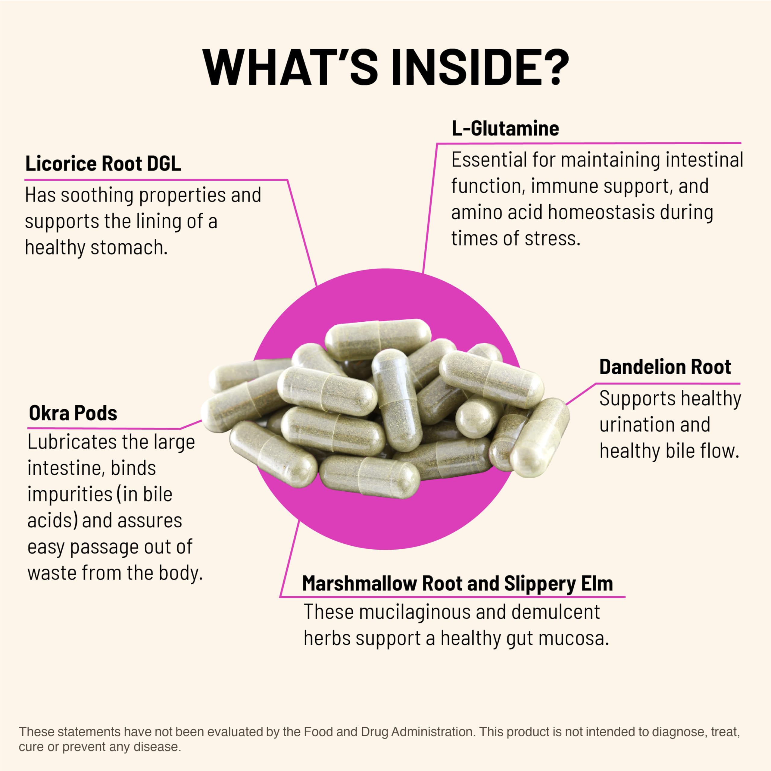 Licorice DGL ingredient close-up indicating soothing gut lining support