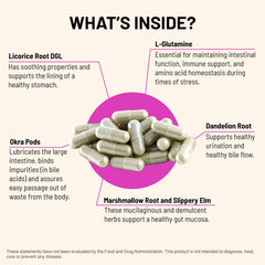Licorice DGL ingredient close-up indicating soothing gut lining support