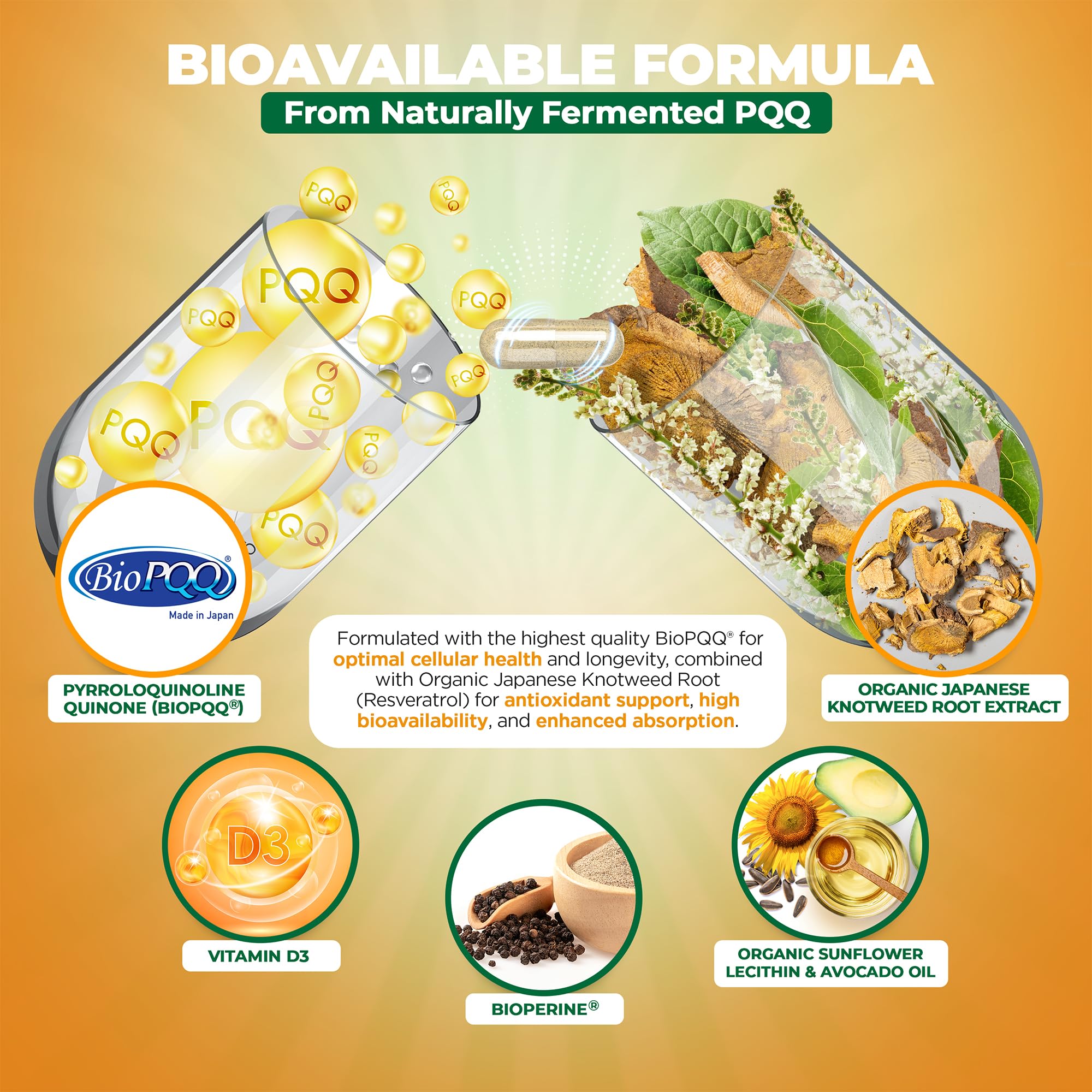 MoxyVites PQQ MITORESTORE fermentation process illustration emphasizes natural production.