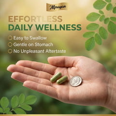 MPRAYAN Moringa capsules in hand showing convenient daily supplement.