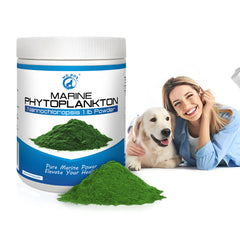 Scoop of Mr Ros Marine Super Greens ready to mix into foods or drinks
