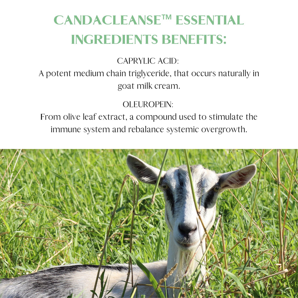Enzyme blend label on Mt. Capra CandaCleanse highlighting digestion support