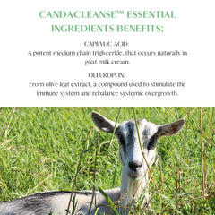 Enzyme blend label on Mt. Capra CandaCleanse highlighting digestion support