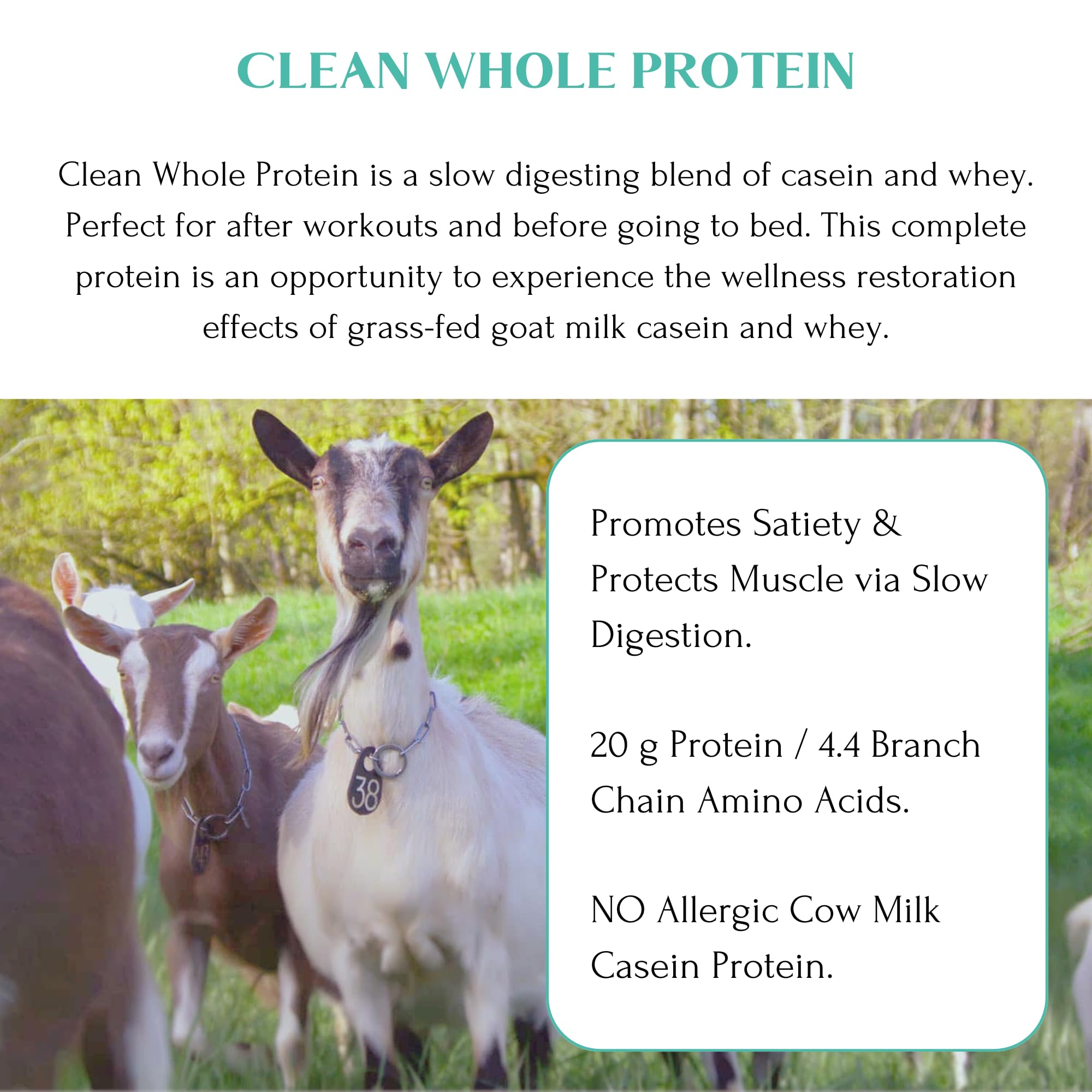 Mt Capra Clean Whole Protein in a berry smoothie provides a convenient protein boost.