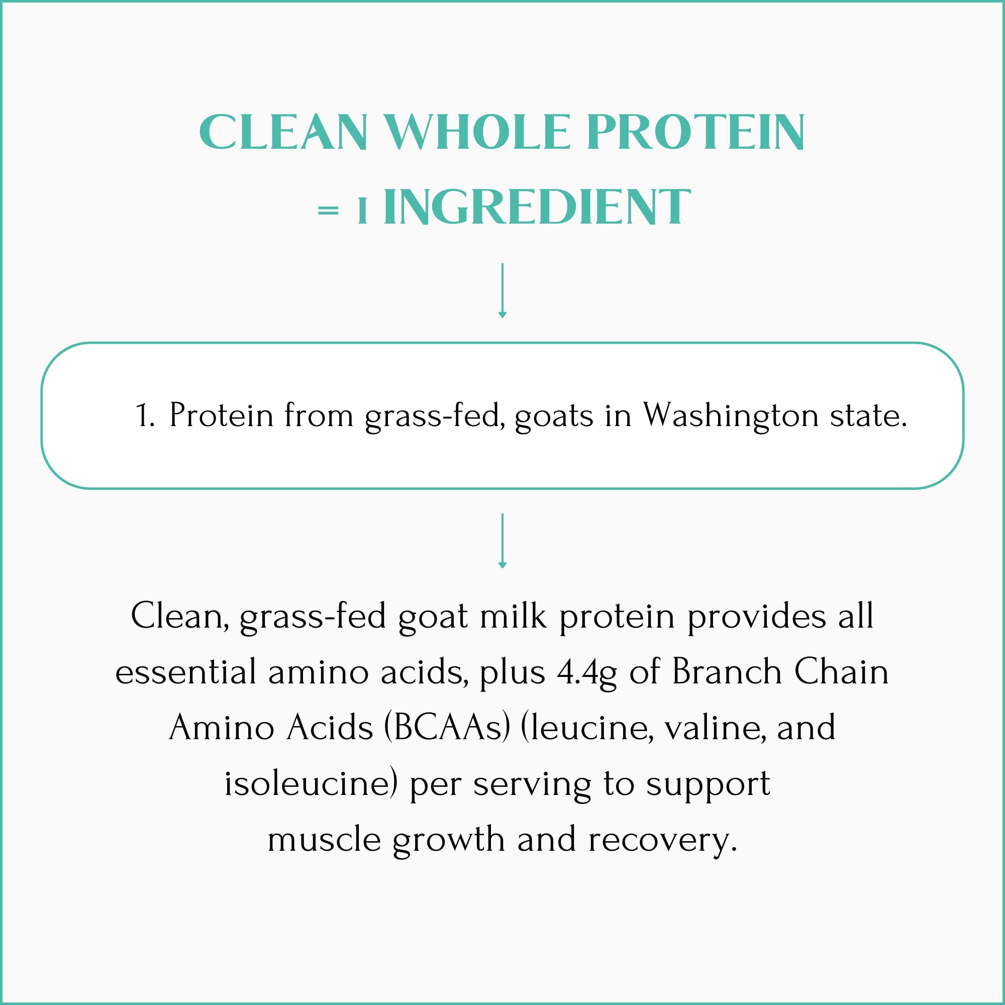 Mt Capra Clean Whole Protein close-up powder texture ideal for smooth mixing.