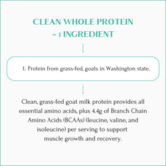 Mt Capra Clean Whole Protein close-up powder texture ideal for smooth mixing.