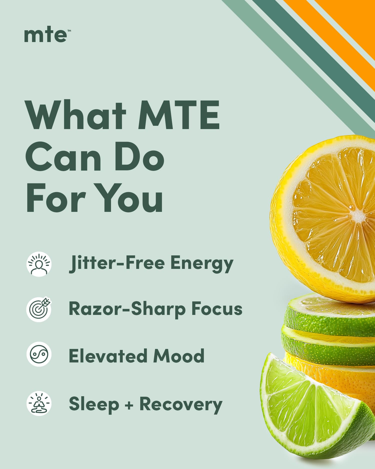 MTE Paraxanthine nootropic formula highlighting caffeine-free focus support