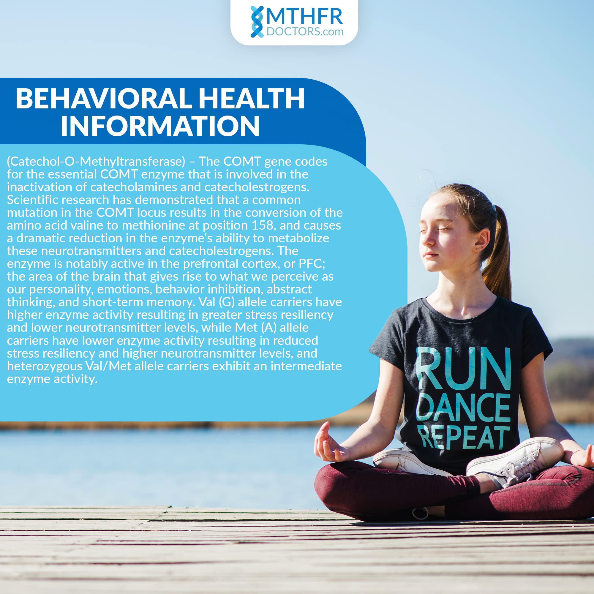 MTHFR COMT live expert support by phone for testing guidance.