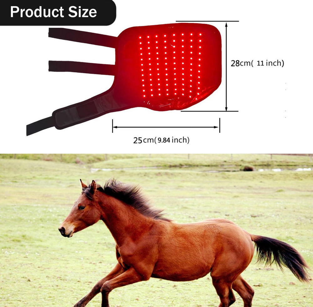 MUMAIS boot in use on horse leg during light training