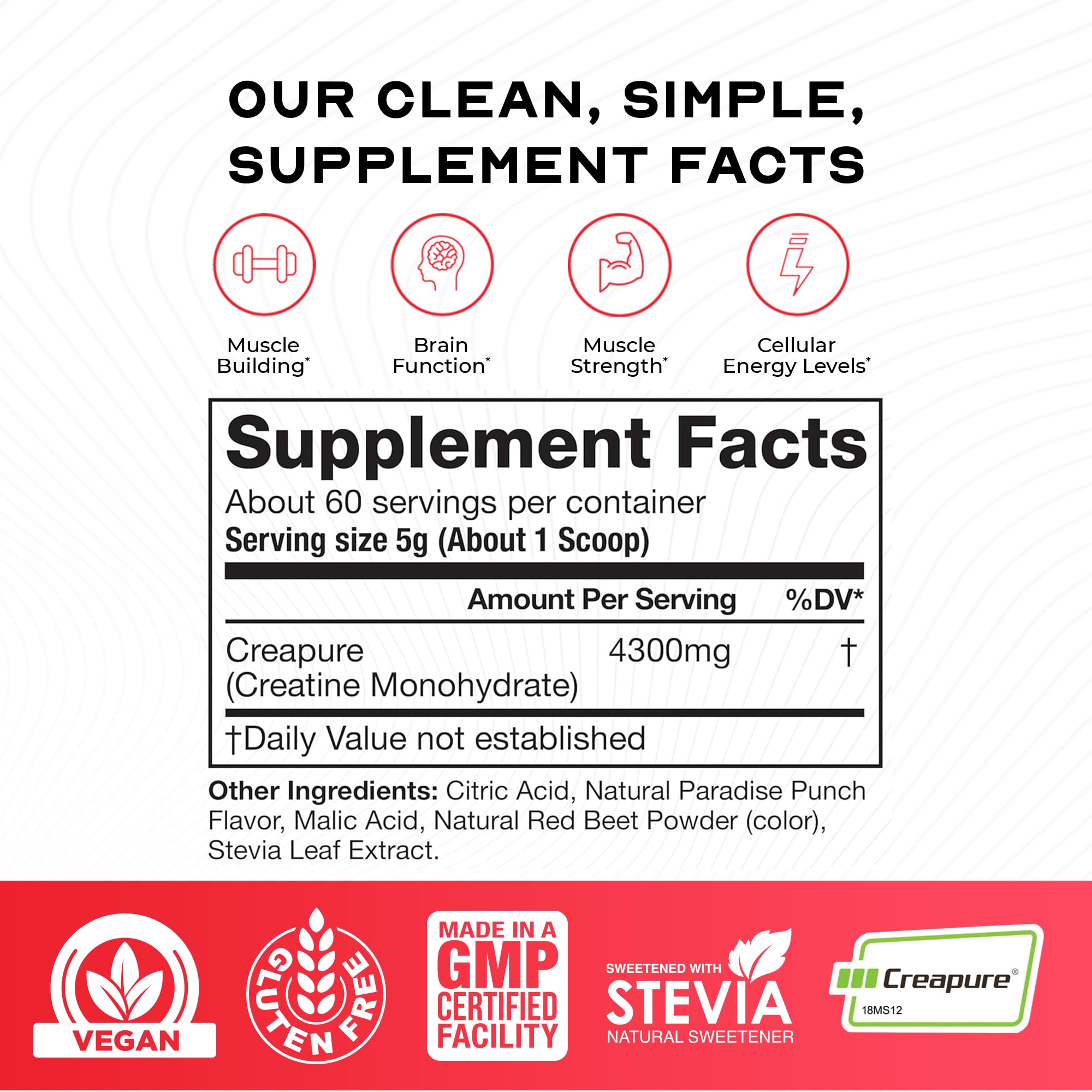 Muscle Feast Creapure powder being measured for easy daily servings