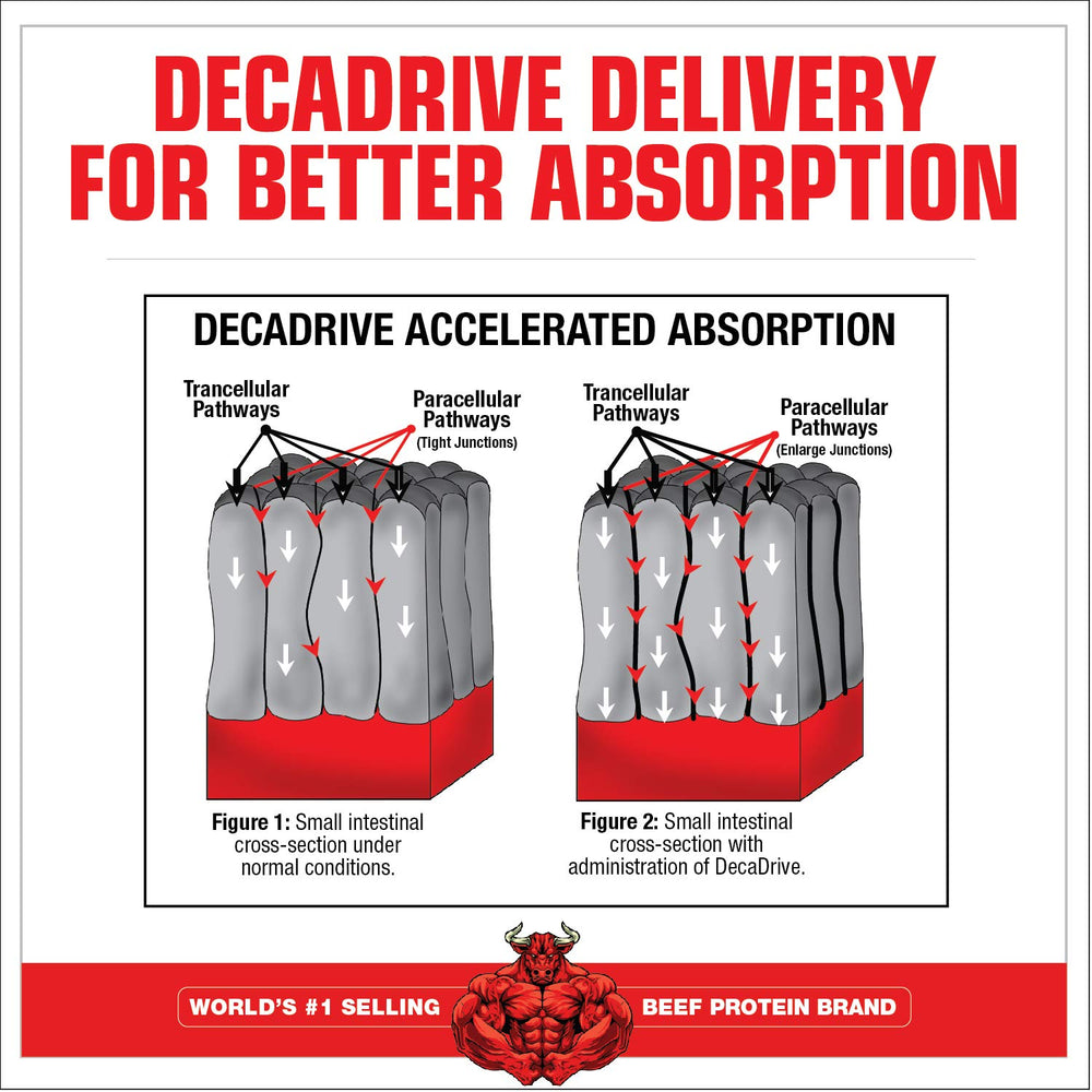 MuscleMeds Amino Decanate watermelon bottle label highlighting ingredient transparency.