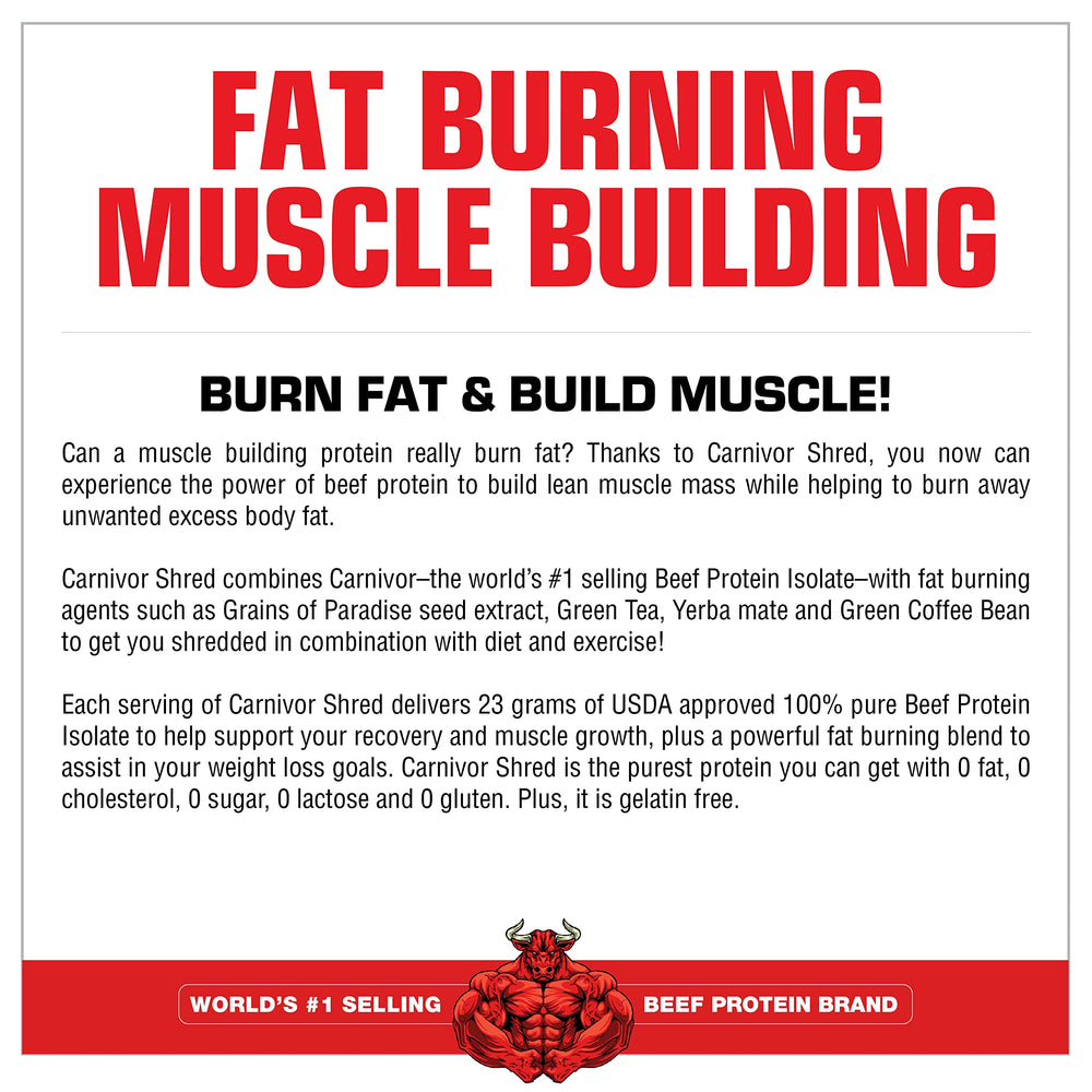 Close-up of MuscleMeds Carnivor Shred beef protein powder texture