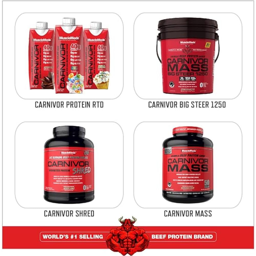 Serving of Carnivor Shred beef protein ready to fuel workouts