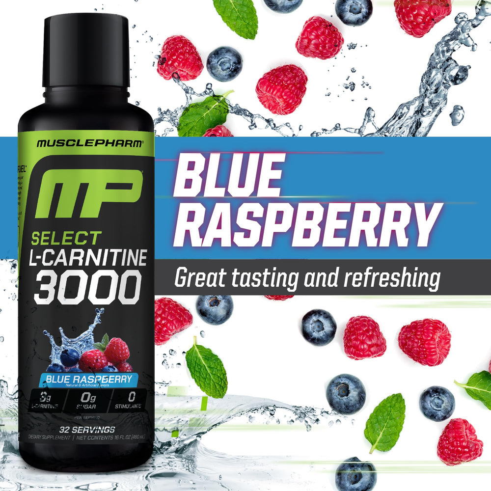 MusclePharm L-Carnitine 3000 ingredients panel close-up shows 3 g per serving