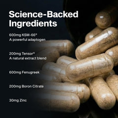 MuscleTech AlphaTest packaging box conveying trusted sports nutrition