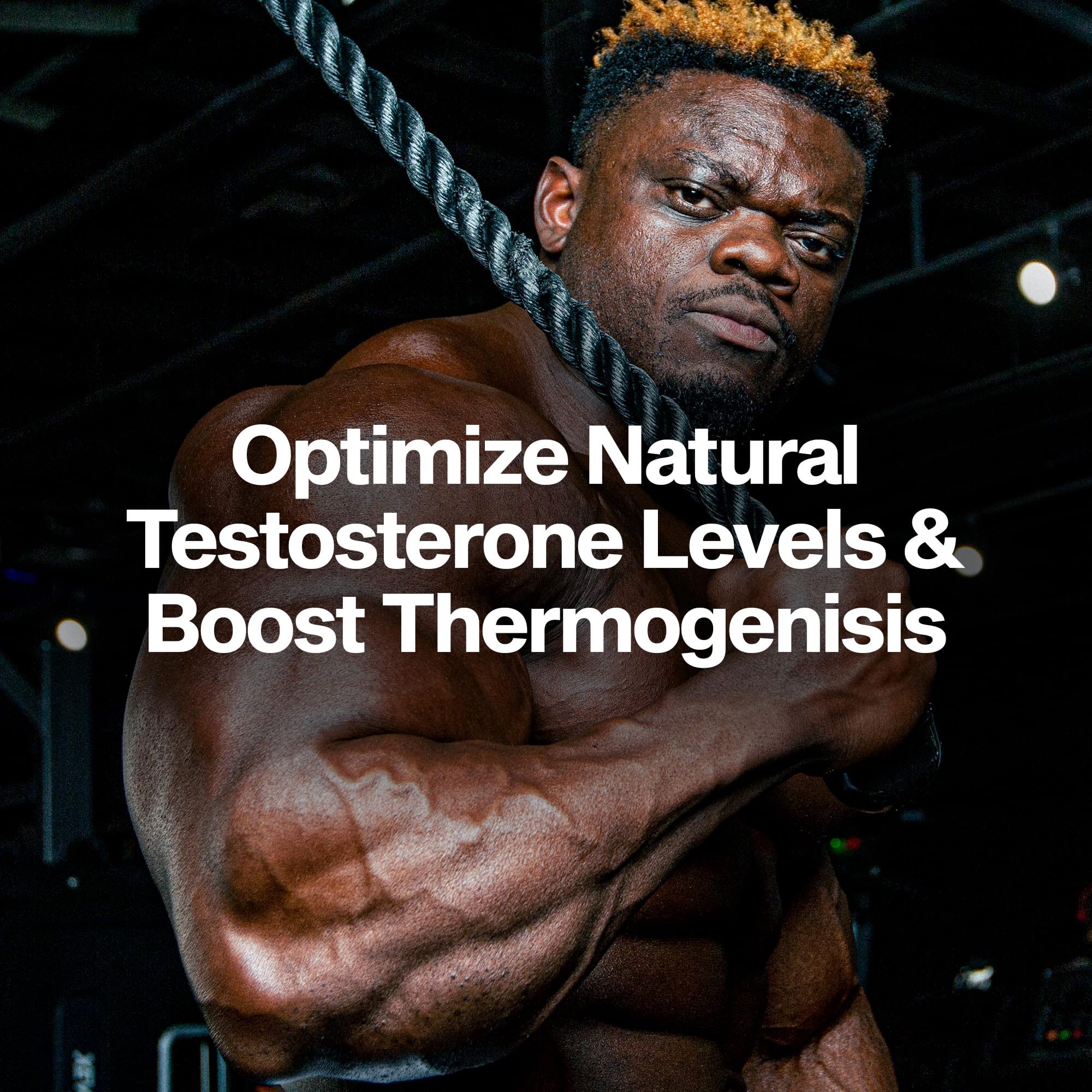 MuscleTech AlphaTest Thermo ingredients chart highlights L-carnitine energy support.