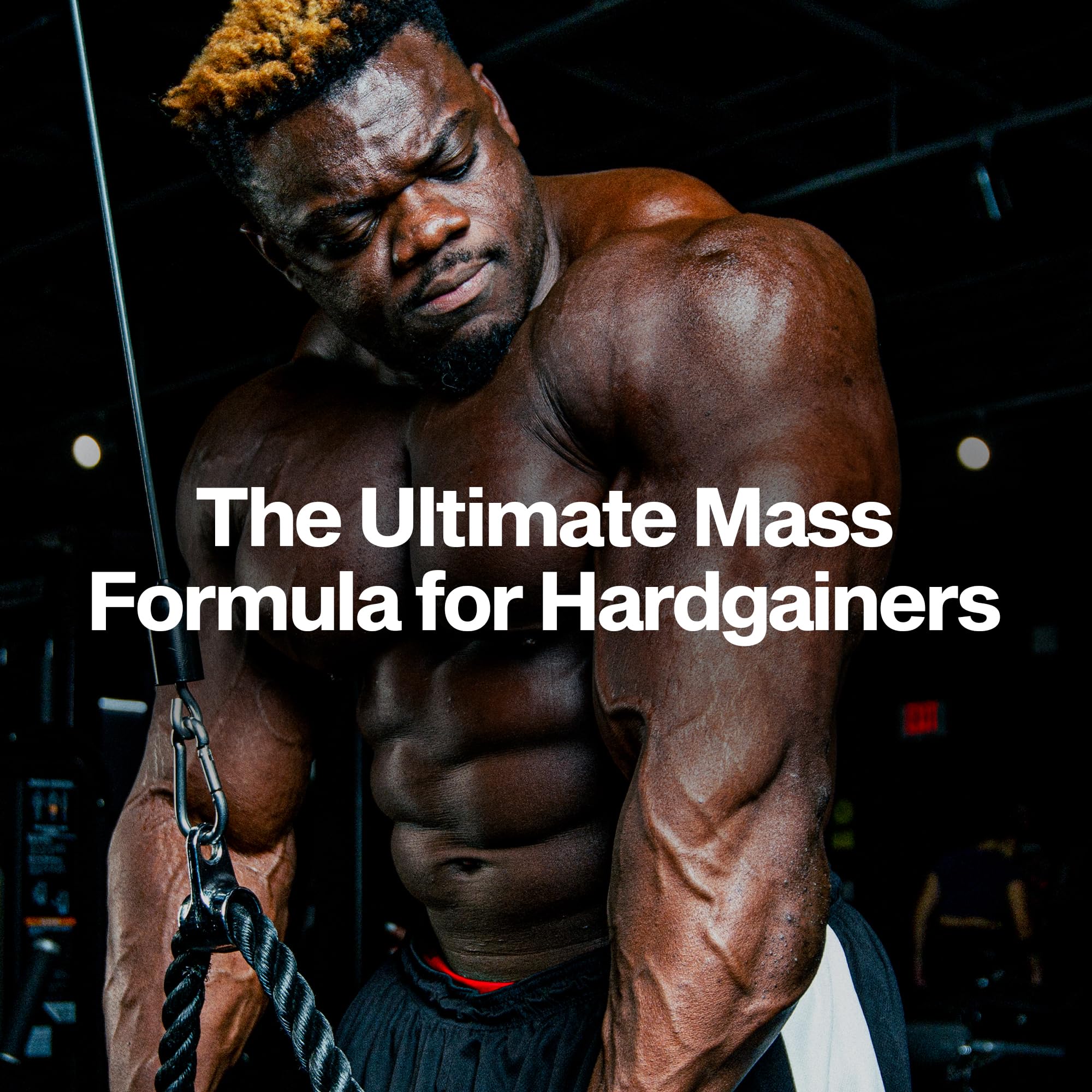 Creatine monohydrate and BCAAs per serving aid recovery