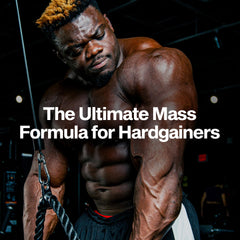 Creatine monohydrate and BCAAs per serving aid recovery