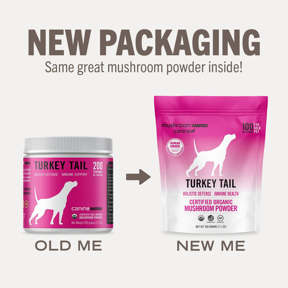 Daily use for pets with Mushroom Matrix Turkey Tail powder ready for meals.