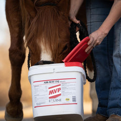 MVP Air-Way EQ powder texture reveals fine, mixable formula for quick dosing