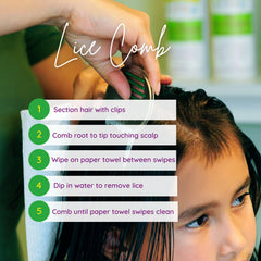 Reusable lice comb after proper sterilization for future checks.