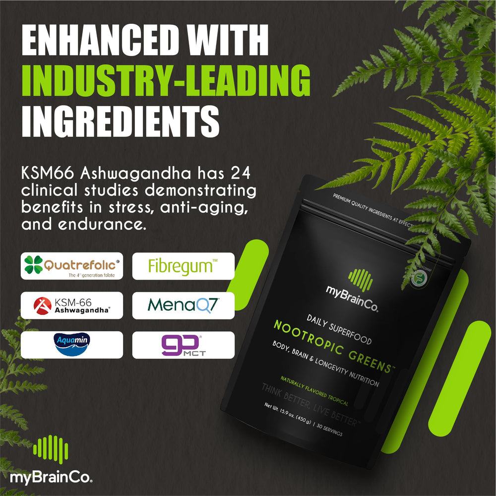 myBrainCo Nootropic Greens Lion's Mane illustration signaling brain-boosting focus