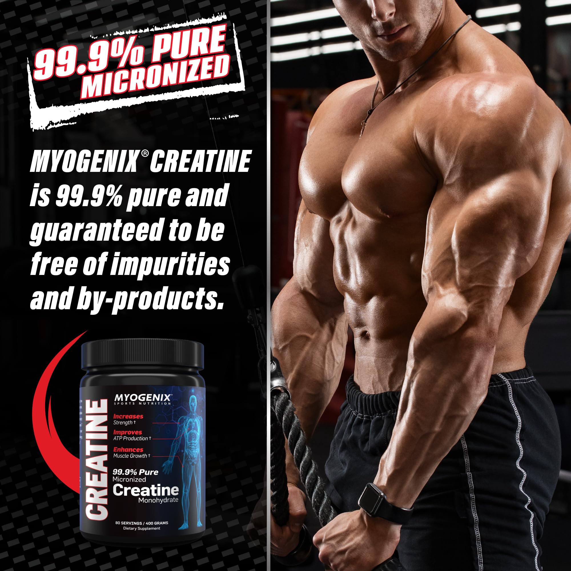Myogenix Creatine Monohydrate tub on a gym bench for workouts