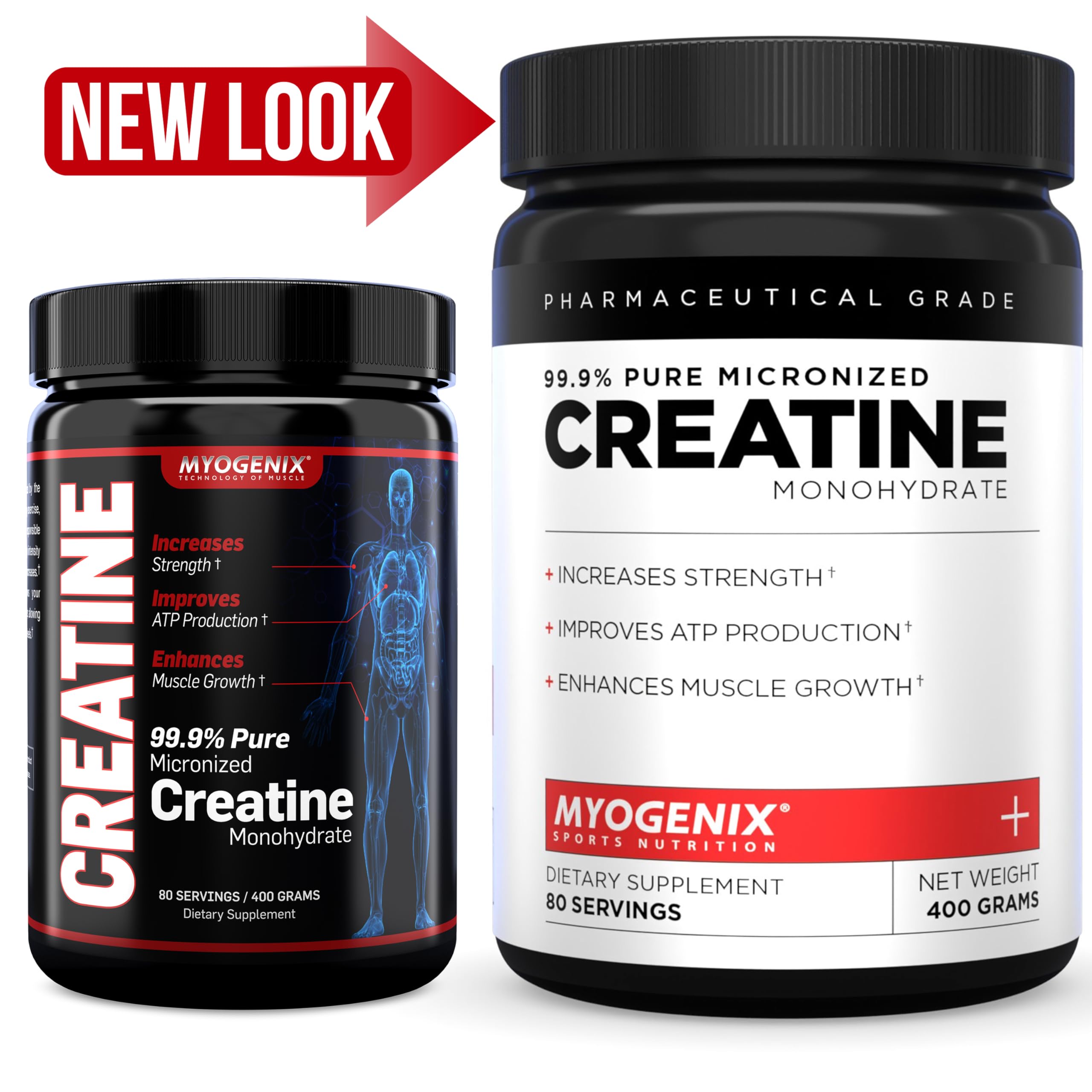 Myogenix Creatine Monohydrate scoop with powder ready to mix into shakes