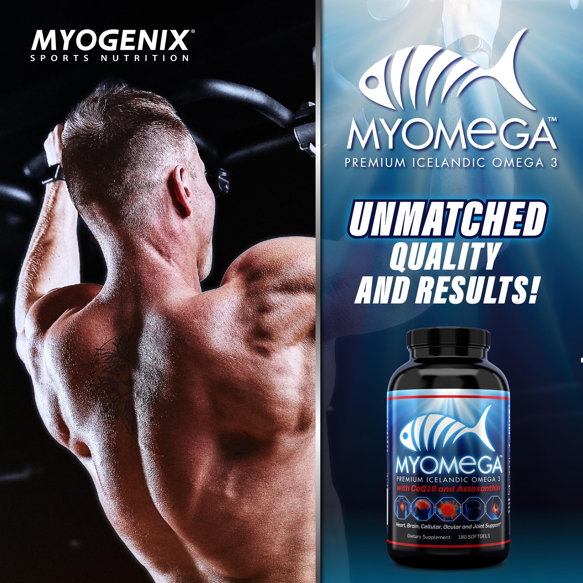 Myogenix Myomega astaxanthin detail displays vibrant antioxidant blend