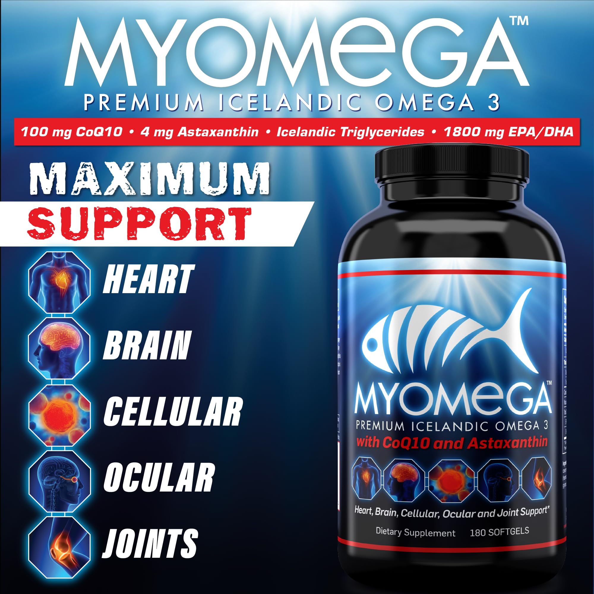 Myogenix Myomega softgels closeup shows easy-to-digest capsules with burpless design
