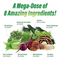 Myogenix MyoVite Super Greens mixing glass showing a smooth, clump-free blend.