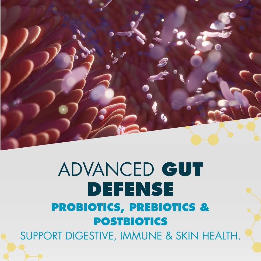 Three-stage gut health graphic illustrating prebiotics, probiotics and polyphenols for PeakBiotic.