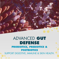 Three-stage gut health graphic illustrating prebiotics, probiotics and polyphenols for PeakBiotic.