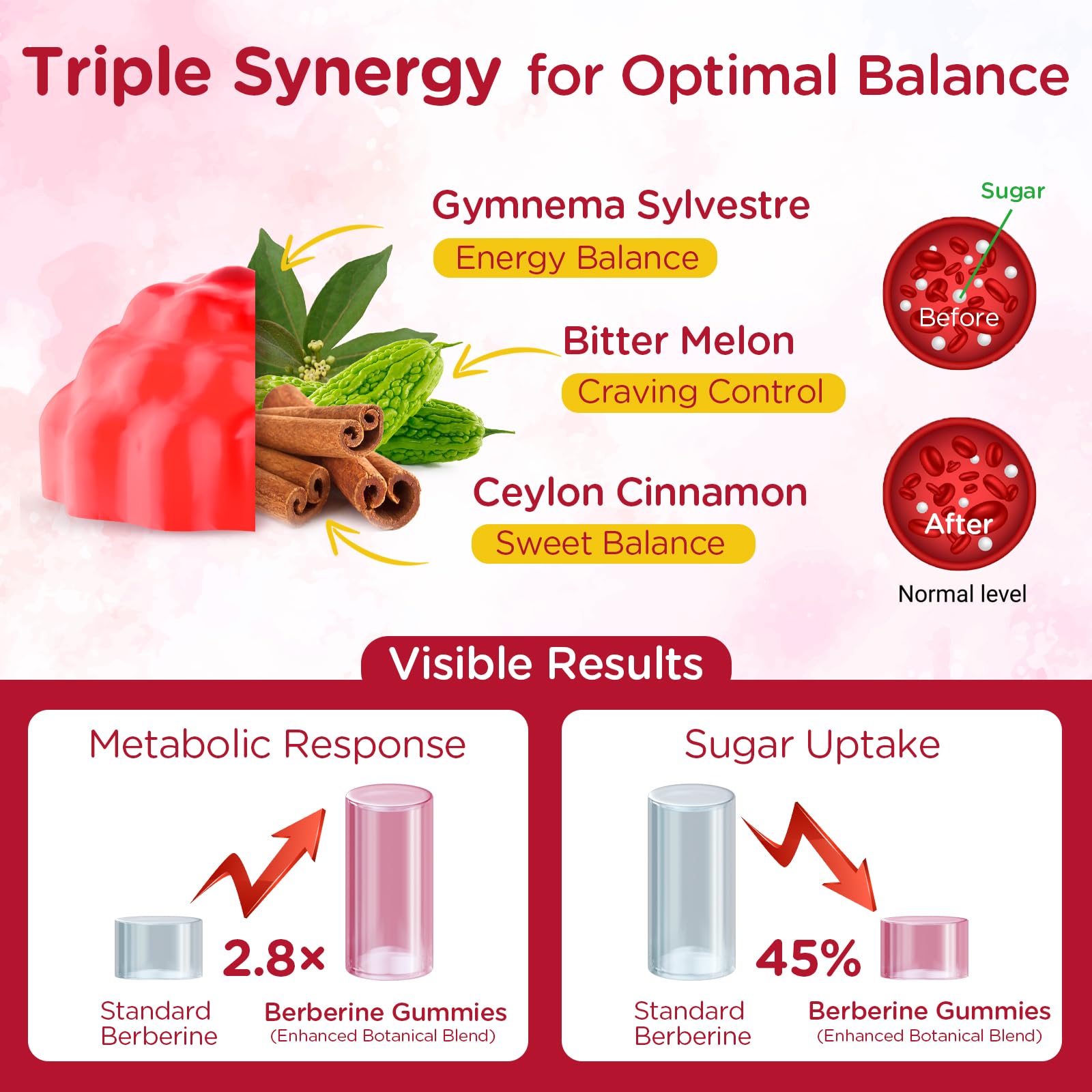 Myrtaverde berberine probiotics illustration signals gut-friendly dual-action formula.