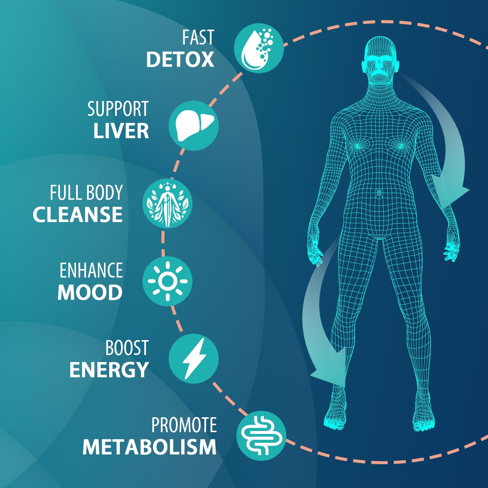 MythoTecq detox ingredients closeup featuring milk thistle, burdock, and licorice roots