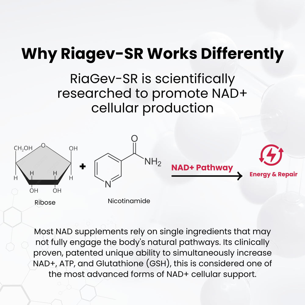 NAD Plus Revive+Immune energy-graph image shows NAD boost and antioxidant potential.