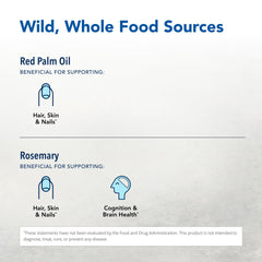 Purely-E ingredient focus on sunflower seed oil and vitamin E component