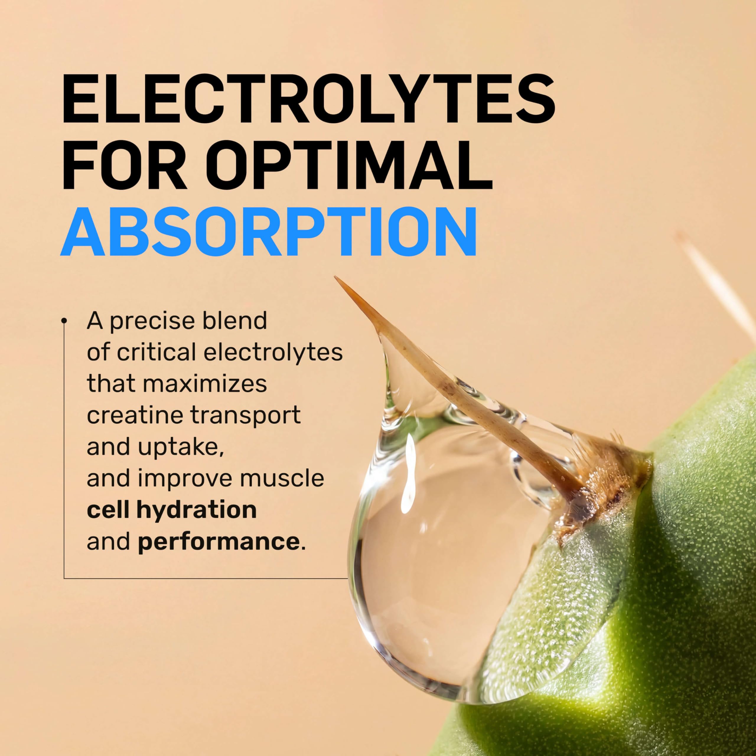 NAKED Lean Creatine HCl Powder with organic prickly pear extract for hydration balance.